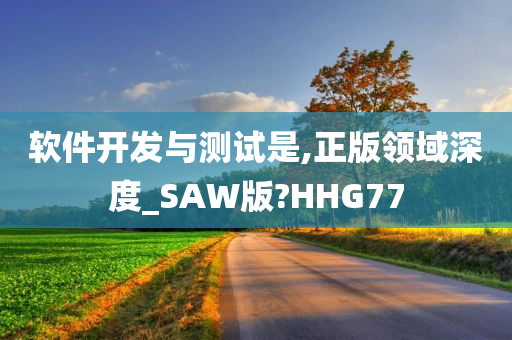 软件开发与测试是,正版领域深度_SAW版?HHG77