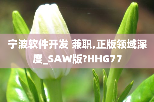 宁波软件开发 兼职,正版领域深度_SAW版?HHG77