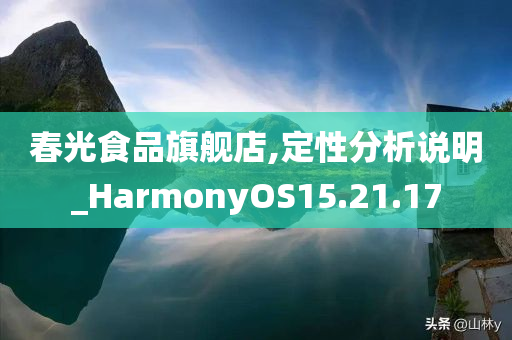 春光食品旗舰店,定性分析说明_HarmonyOS15.21.17