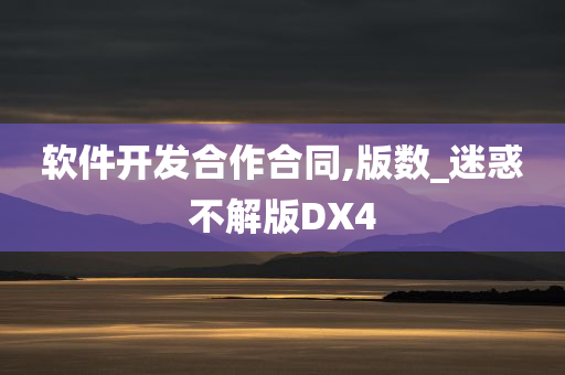 软件开发合作合同,版数_迷惑不解版DX4