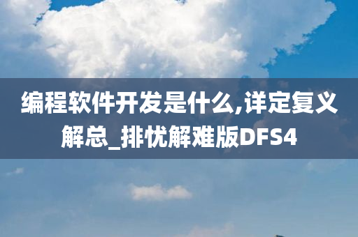 编程软件开发是什么,详定复义解总_排忧解难版DFS4