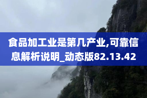 食品加工业是第几产业,可靠信息解析说明_动态版82.13.42