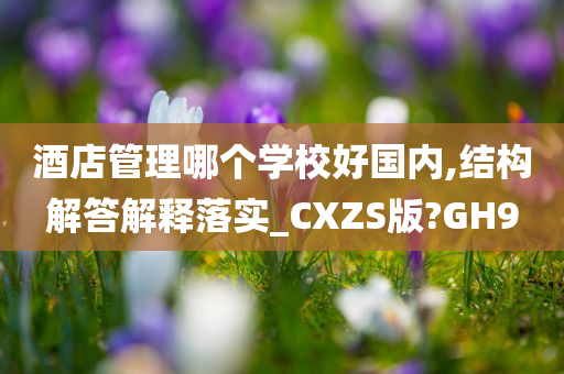 酒店管理哪个学校好国内,结构解答解释落实_CXZS版?GH9