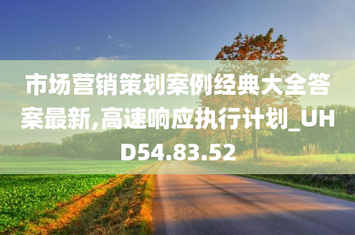 市场营销策划案例经典大全答案最新,高速响应执行计划_UHD54.83.52