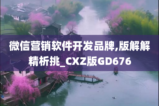 微信营销软件开发品牌,版解解精析挑_CXZ版GD676