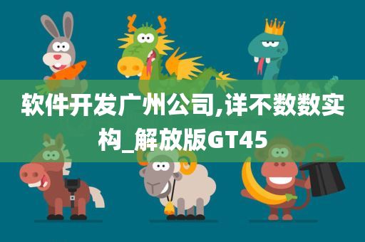 软件开发广州公司,详不数数实构_解放版GT45