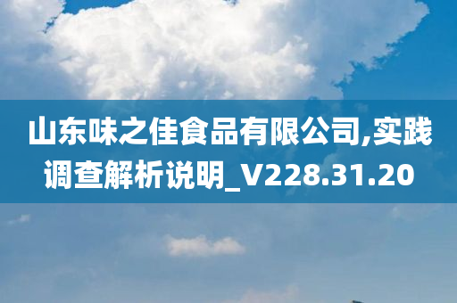 山东味之佳食品有限公司,实践调查解析说明_V228.31.20