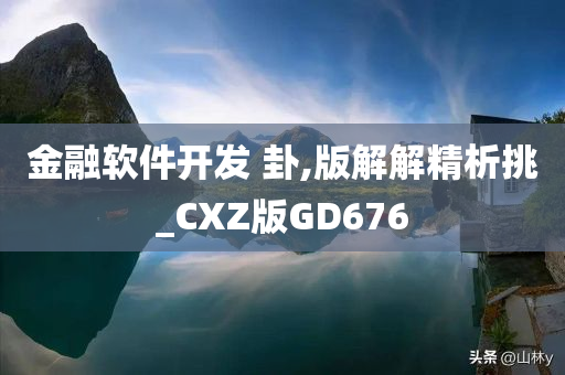 金融软件开发 卦,版解解精析挑_CXZ版GD676