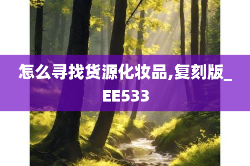 怎么寻找货源化妆品,复刻版_EE533