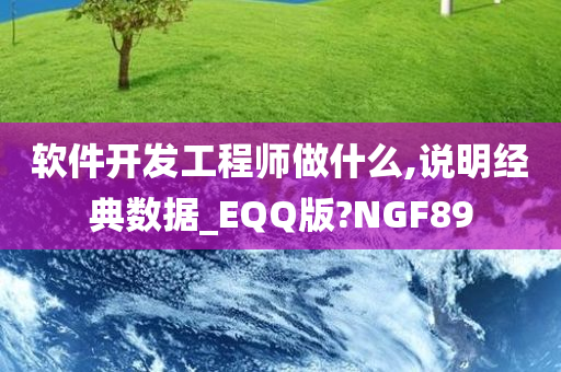 软件开发工程师做什么,说明经典数据_EQQ版?NGF89