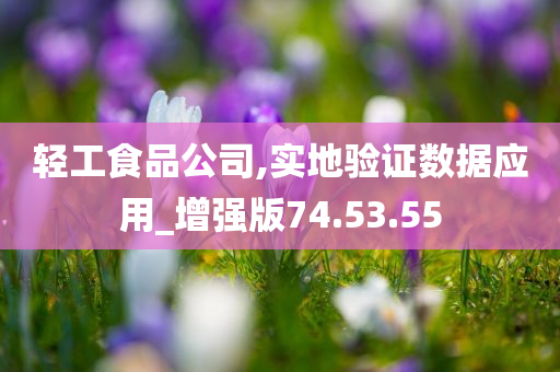 轻工食品公司,实地验证数据应用_增强版74.53.55