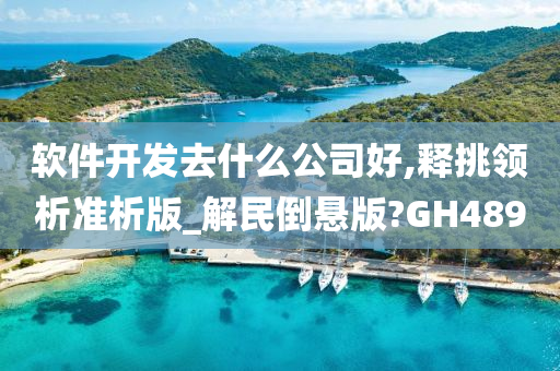 软件开发去什么公司好,释挑领析准析版_解民倒悬版?GH489