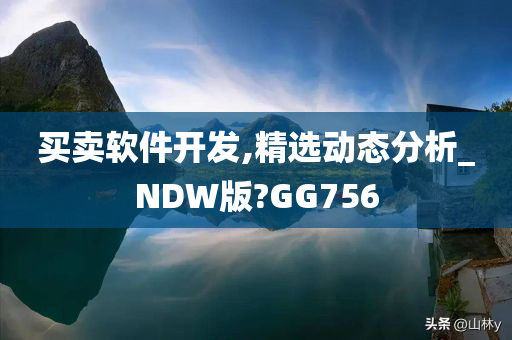 买卖软件开发,精选动态分析_NDW版?GG756