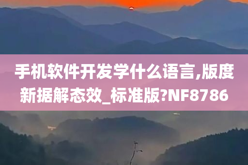 手机软件开发学什么语言,版度新据解态效_标准版?NF8786