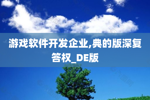 游戏软件开发企业,典的版深复答权_DE版