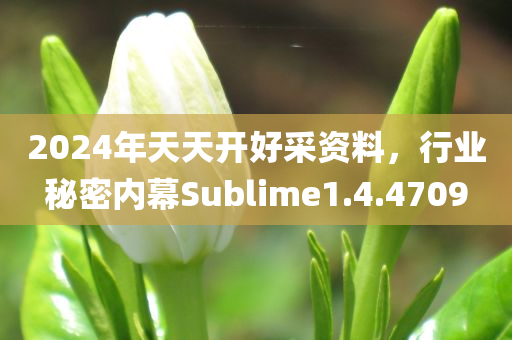 2024年天天开好采资料，行业秘密内幕Sublime1.4.4709