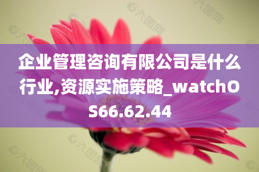 企业管理咨询有限公司是什么行业,资源实施策略_watchOS66.62.44