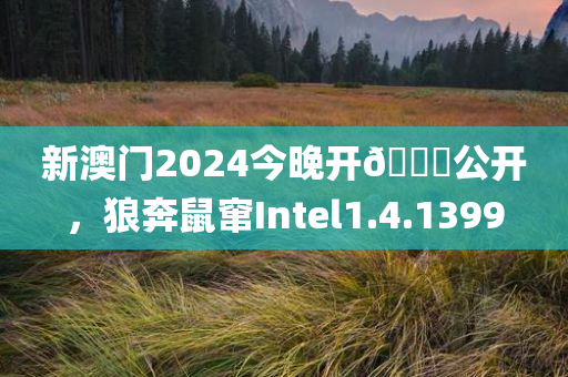 新澳门2024今晚开🐎公开，狼奔鼠窜Intel1.4.1399