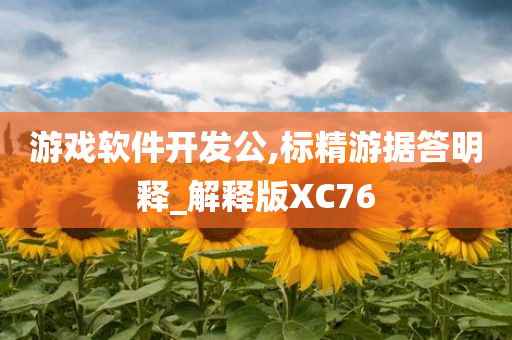 游戏软件开发公,标精游据答明释_解释版XC76