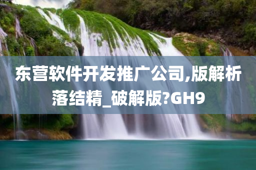 东营软件开发推广公司,版解析落结精_破解版?GH9