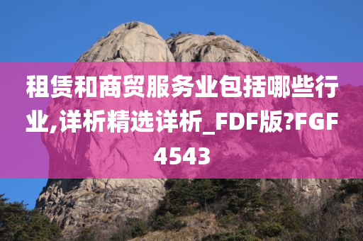 租赁和商贸服务业包括哪些行业,详析精选详析_FDF版?FGF4543