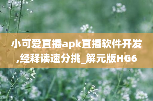 小可爱直播apk直播软件开发,经释读速分挑_解元版HG6