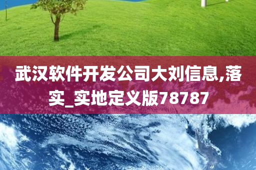 武汉软件开发公司大刘信息,落实_实地定义版78787