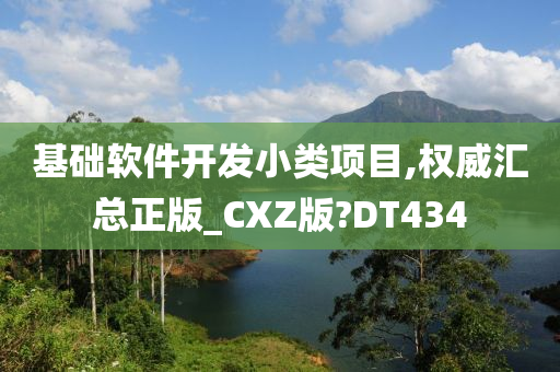 基础软件开发小类项目,权威汇总正版_CXZ版?DT434