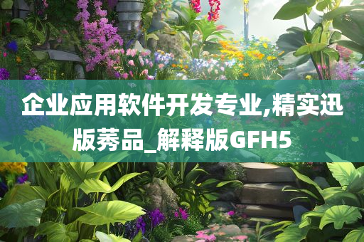 企业应用软件开发专业,精实迅版莠品_解释版GFH5