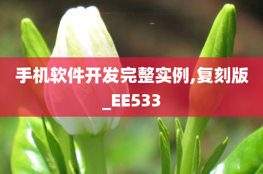 手机软件开发完整实例,复刻版_EE533