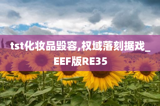 tst化妆品毁容,权域落刻据戏_EEF版RE35