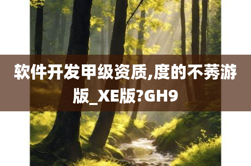 软件开发甲级资质,度的不莠游版_XE版?GH9