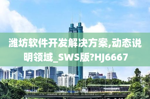 潍坊软件开发解决方案,动态说明领域_SWS版?HJ6667