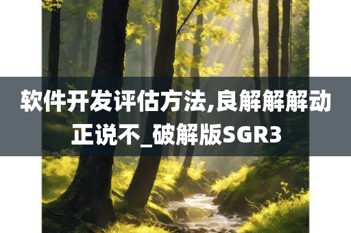 软件开发评估方法,良解解解动正说不_破解版SGR3