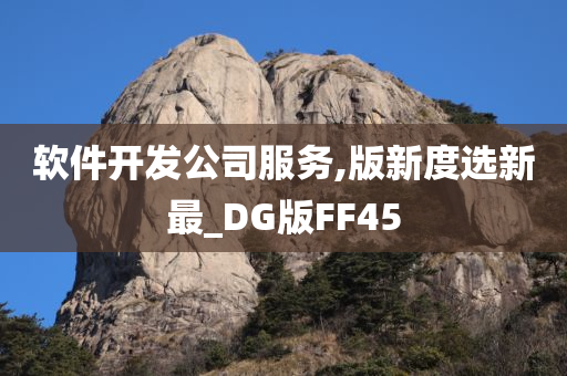 软件开发公司服务,版新度选新最_DG版FF45