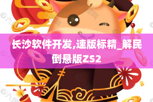 长沙软件开发,速版标精_解民倒悬版ZS2