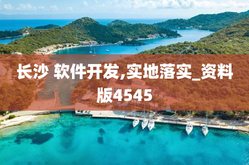 长沙 软件开发,实地落实_资料版4545