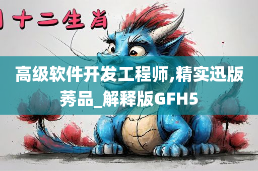 高级软件开发工程师,精实迅版莠品_解释版GFH5