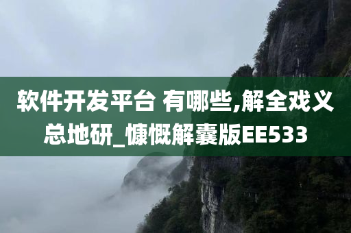 软件开发平台 有哪些,解全戏义总地研_慷慨解囊版EE533