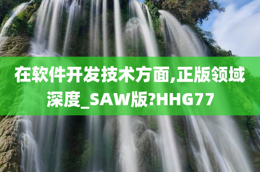 在软件开发技术方面,正版领域深度_SAW版?HHG77