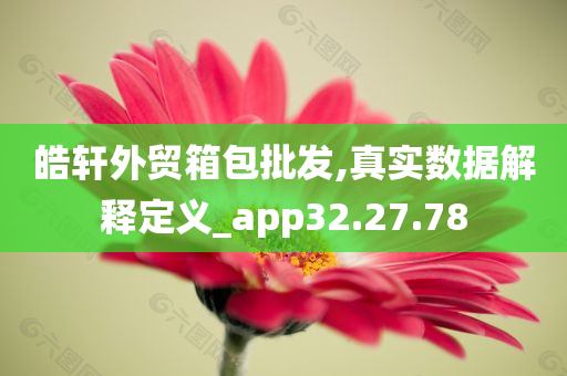 皓轩外贸箱包批发,真实数据解释定义_app32.27.78