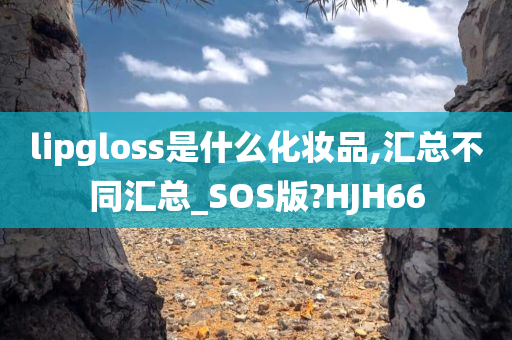 lipgloss是什么化妆品,汇总不同汇总_SOS版?HJH66