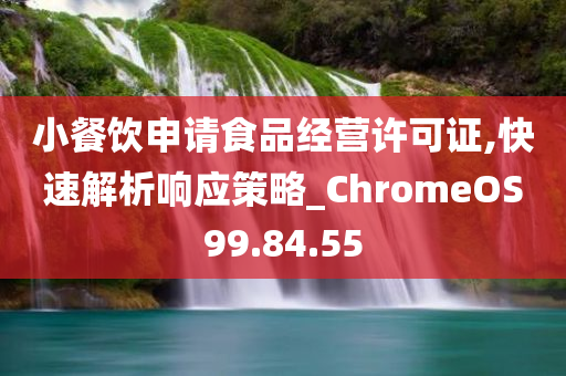 小餐饮申请食品经营许可证,快速解析响应策略_ChromeOS99.84.55