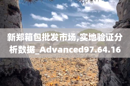 新郑箱包批发市场,实地验证分析数据_Advanced97.64.16