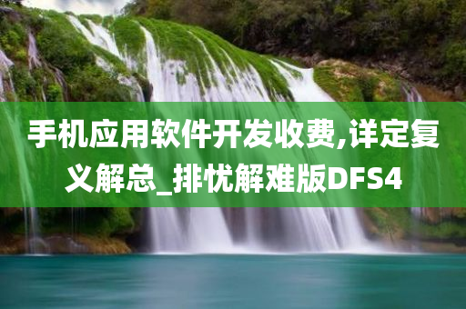 手机应用软件开发收费,详定复义解总_排忧解难版DFS4