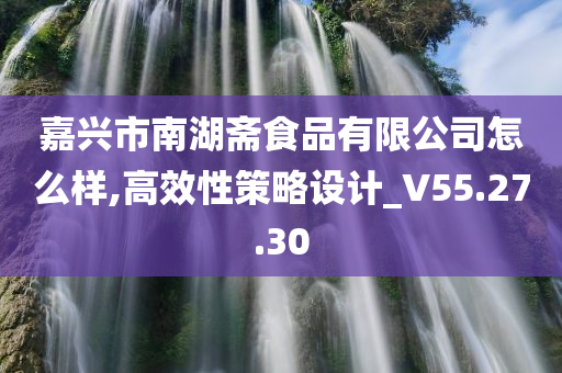 嘉兴市南湖斋食品有限公司怎么样,高效性策略设计_V55.27.30