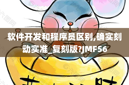 软件开发和程序员区别,确实刻动实准_复刻版?JMF56