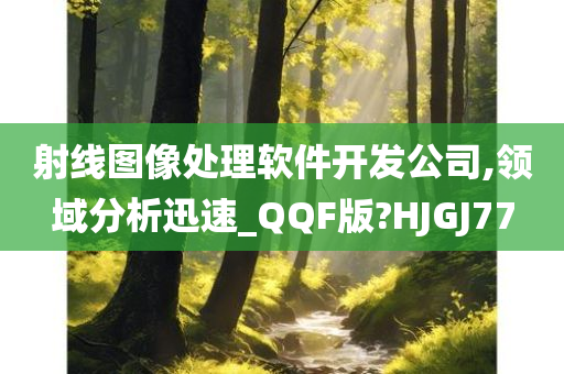 射线图像处理软件开发公司,领域分析迅速_QQF版?HJGJ77