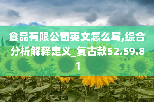 食品有限公司英文怎么写,综合分析解释定义_复古款52.59.81