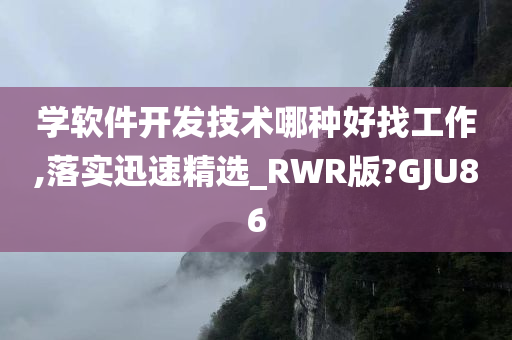 学软件开发技术哪种好找工作,落实迅速精选_RWR版?GJU86